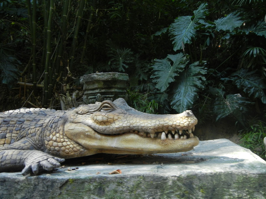 Disneyland Jungle Cruise in Adventureland